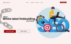 Best white label linkbuilding services